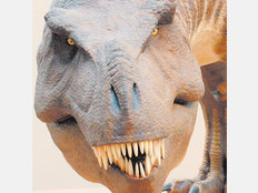 Dinosaurier T-Rex-Kopf